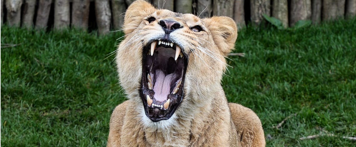 WHAT CRASH? Property prices in Sydney and Melbourne continue to roar