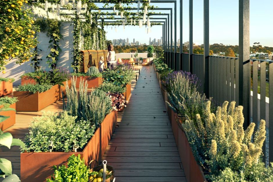 A rooftop garden for a proposed three-bedroom apartment building in Melbourne.  Derek Swalwell